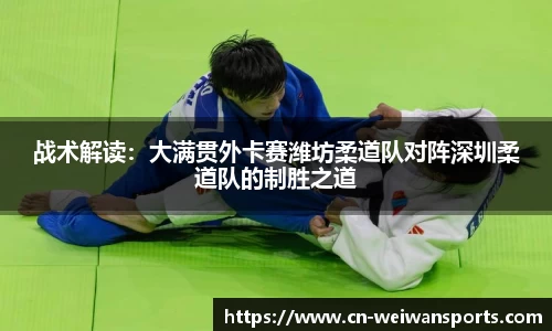 微玩体育官网